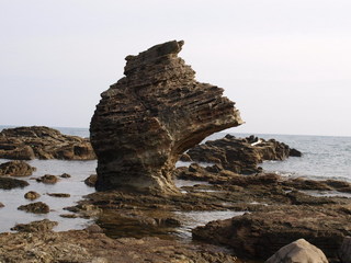 090809_072146.JPG