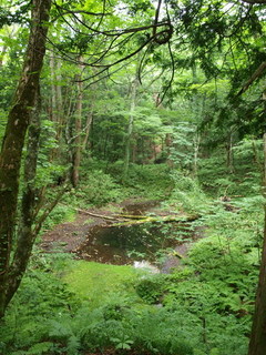 090809_133348.jpg
