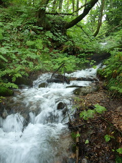 090809_134804.JPG