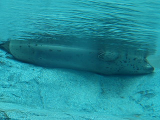 090810_165708.jpg