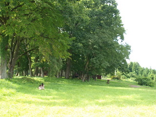 090829_140908.jpg